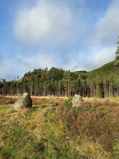 Tingvatn fornminnepark