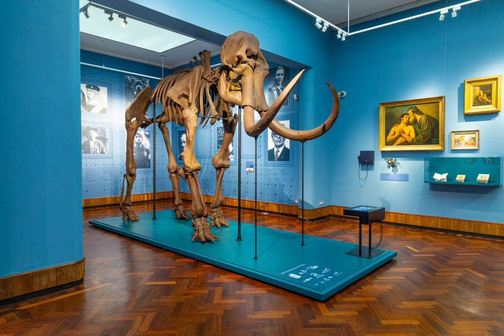 Museo de la Ciudad de Lier