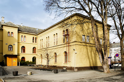 Museo de Ciencias NTNU