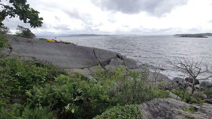 Las Pinturas Rupestres Prehistóricas en Solbakk