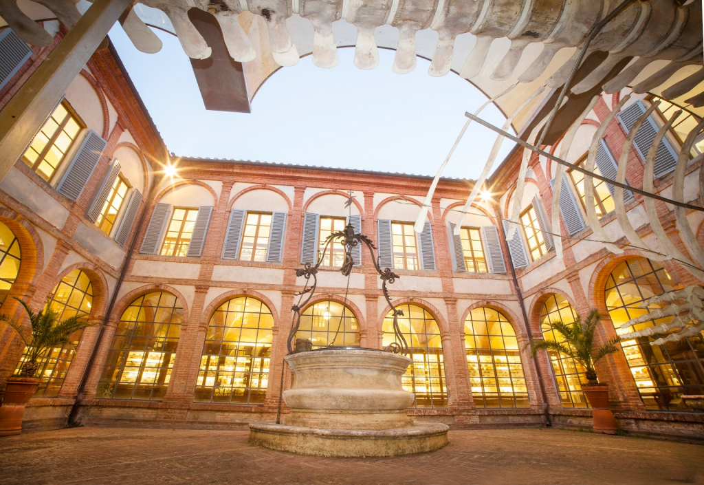 Museos de la Academia de Fisiocriticos