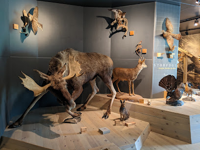 Museo de Historia Natural de Sykkylven