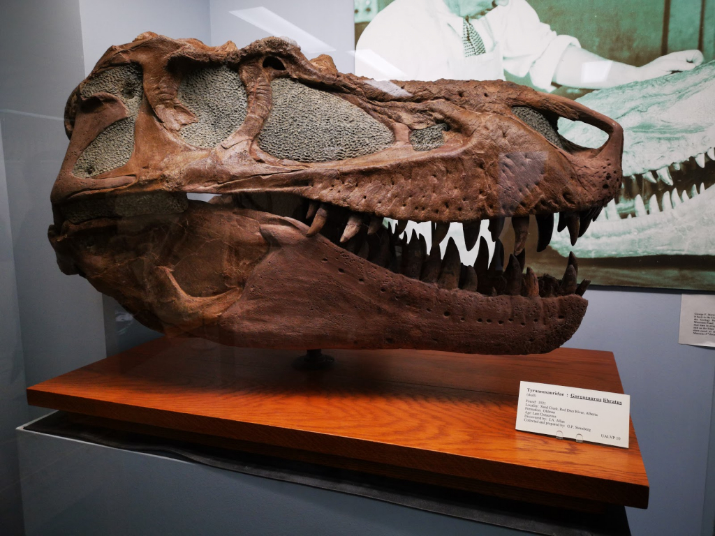 Museo de Paleontología