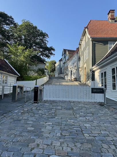 Museo Altes Bergen