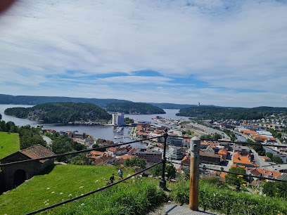 Borgervæpning de Fredrikshald