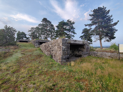 Staåsbatteriet