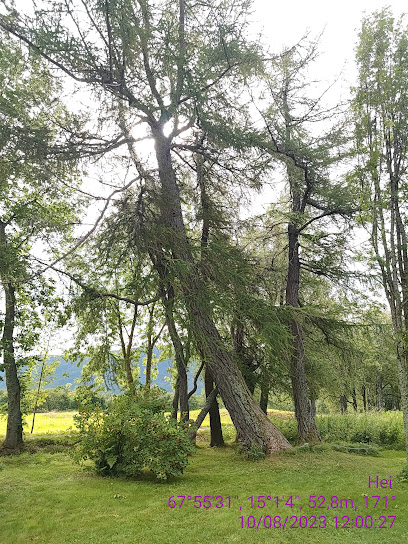 Museo de Nordland Steigen