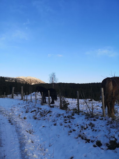 Stølsvegen Ås-Entnlie