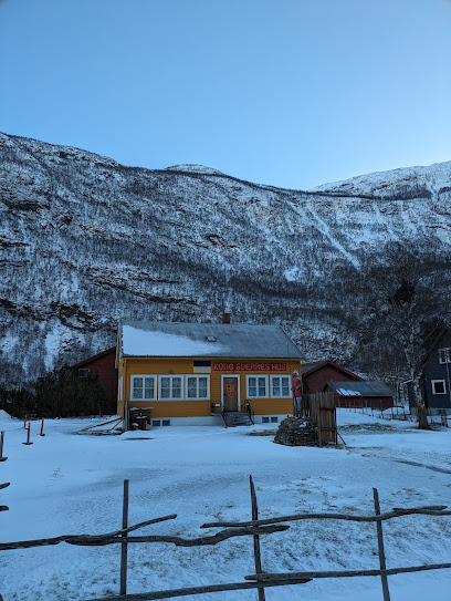 Casa de Kong Sverre, Vangstein