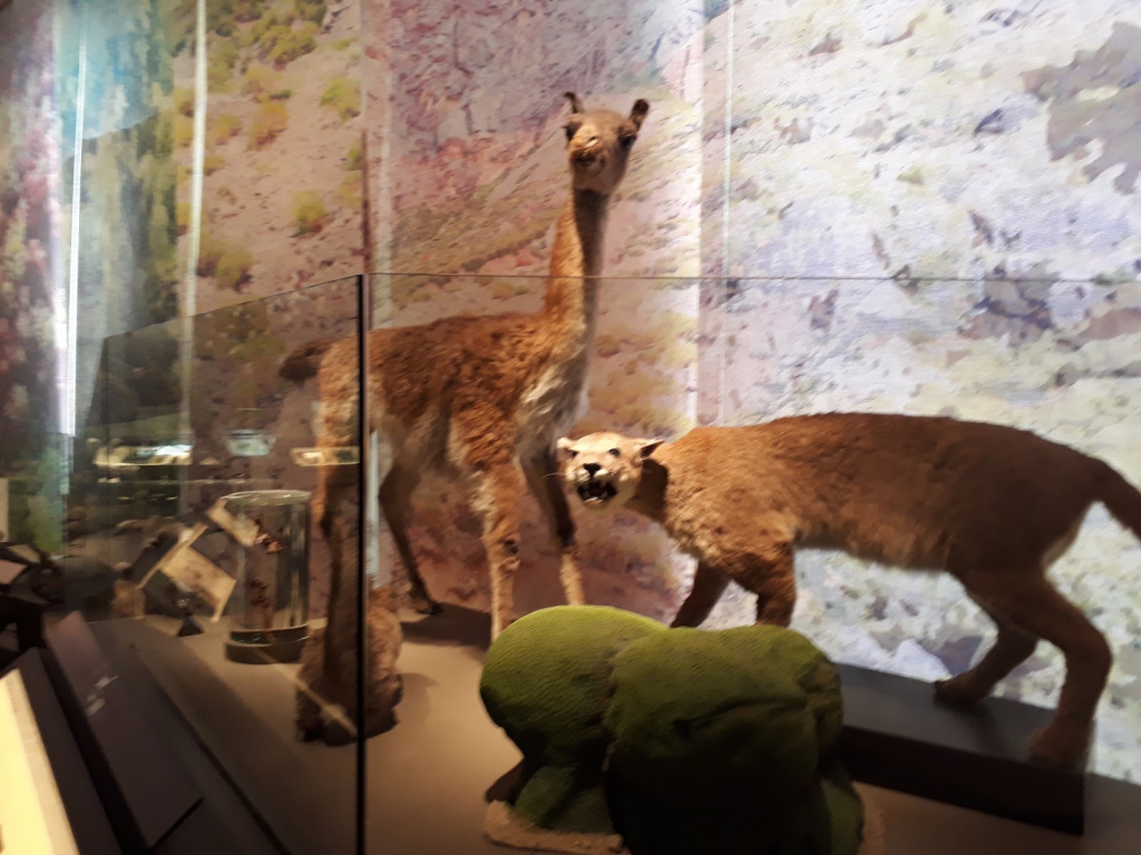 Museo de Historia Natural de Valparaíso