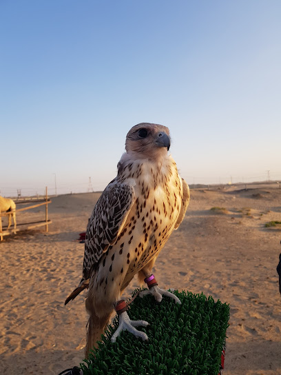 Rancho DR.Al Naeemat
