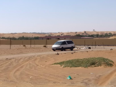 Mesquita Bin Afaira Al-Falasi