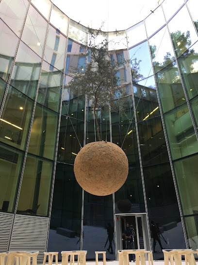 La Galería de Arte de NYU Abu Dhabi