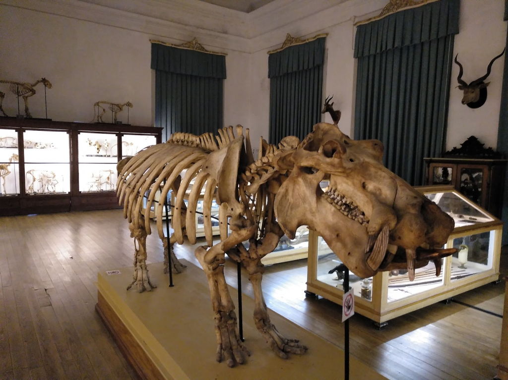 Museo de la Ciencia de la Universidad de Coimbra
