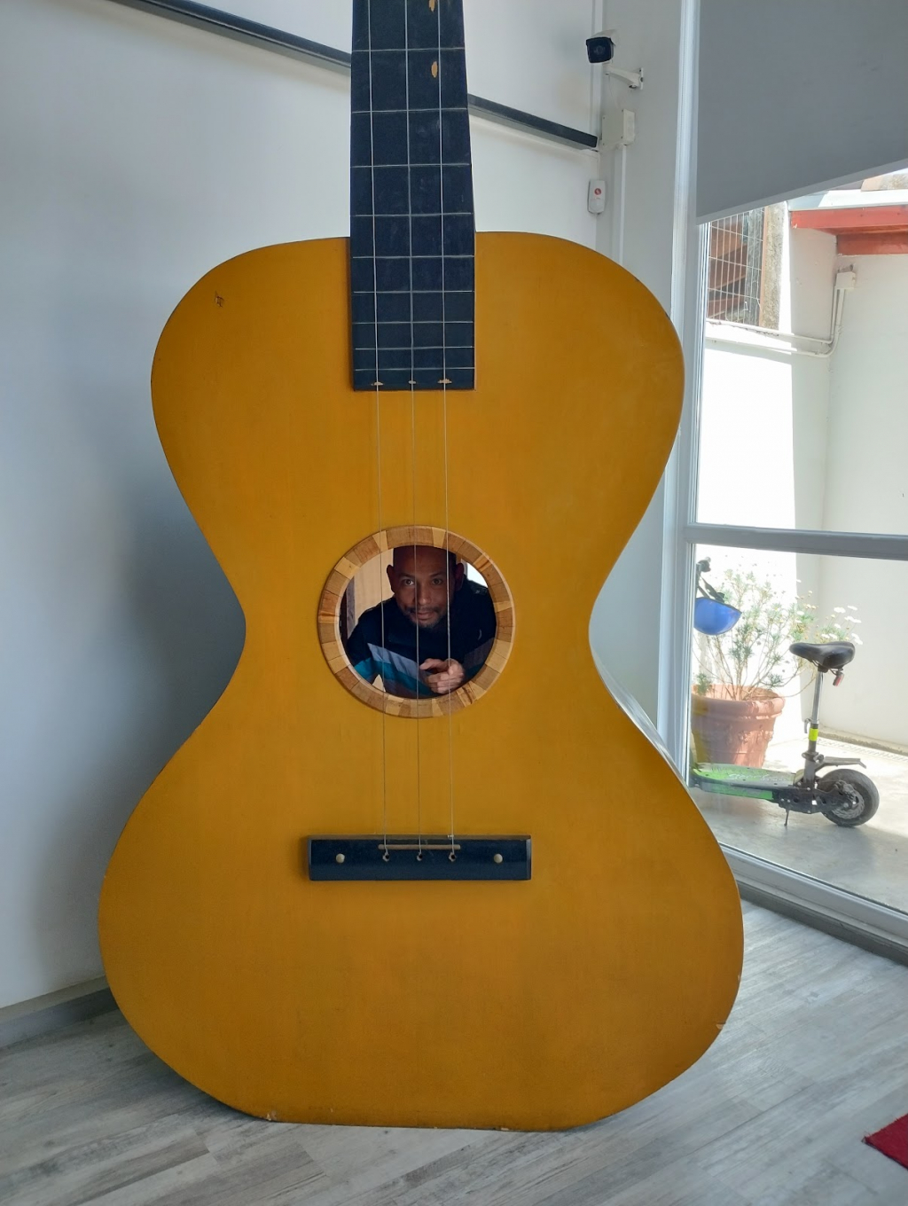Museo Claudio Arrau