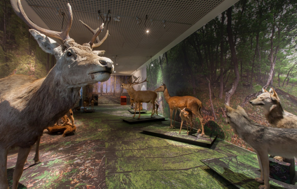 Museo de la Naturaleza del Valais