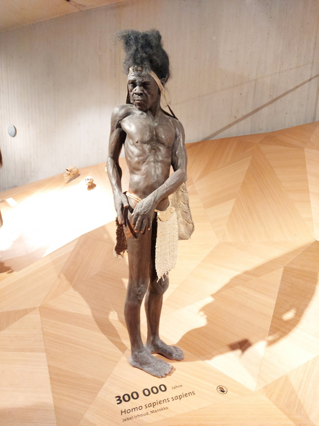 Museo Neandertal