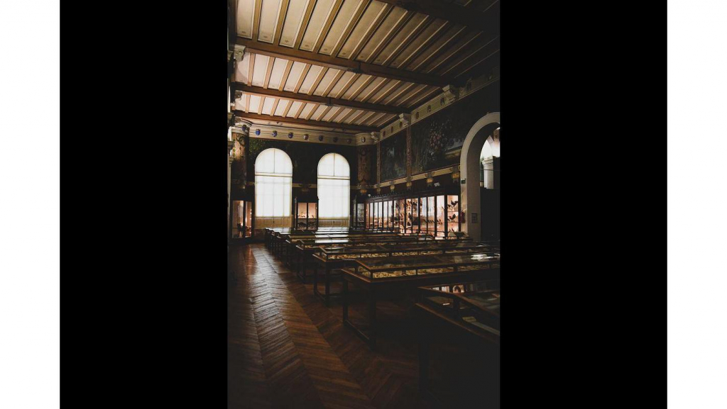 Museo de Historia Natural de Marsella