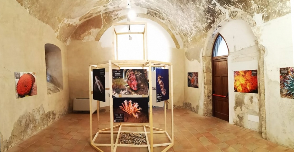 Museo Cívico del Mar de Tropea (MuMaT)