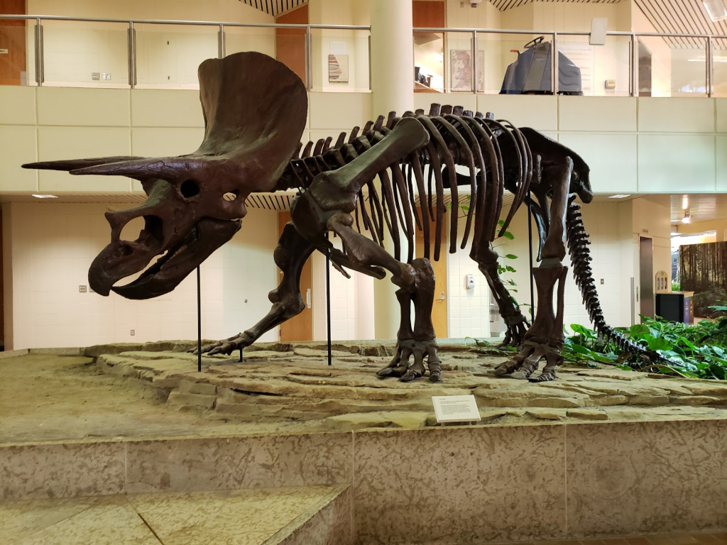 Museo de Ciencias Naturales de la Universidad de Saskatchewan
