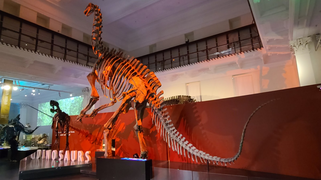 Museo Australiano
