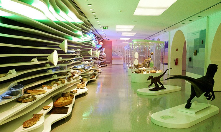 Museo de Historia Natural de Sintra