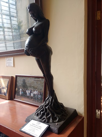 Museo de la Historia de la Medicina