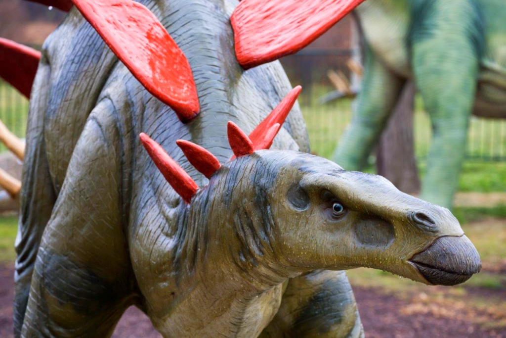 Museo Nacional de Dinosaurios