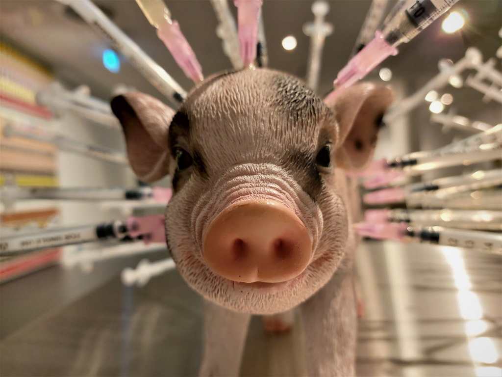 Museo de la Comida Asquerosa Berlín