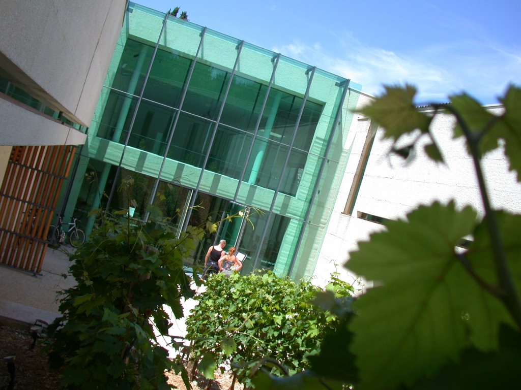 Museo de las habilidades del coñac