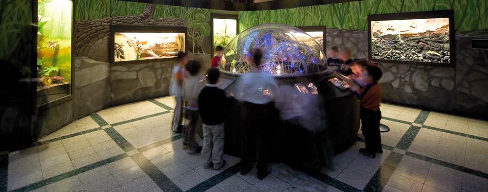 Museo Cívico de Zoología