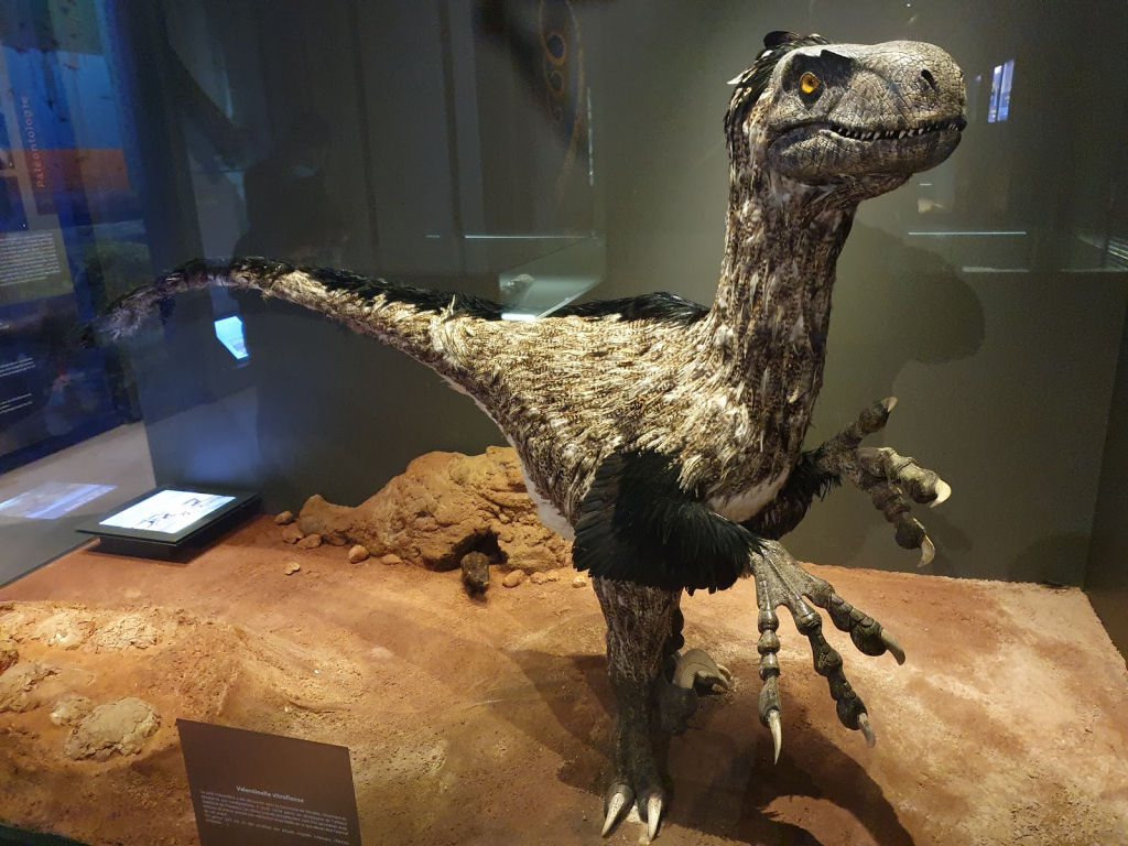 Museo Departamental del Var
