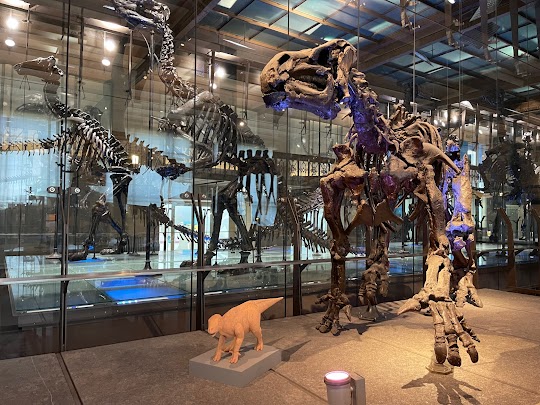 Museo de Ciencias Naturales