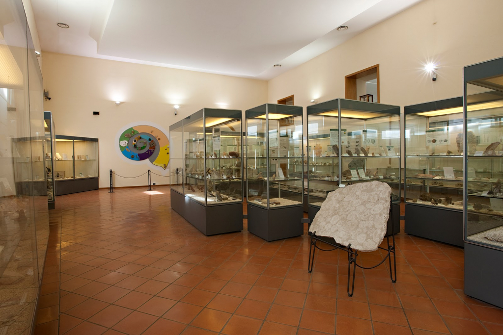 Museo Paleontológico
