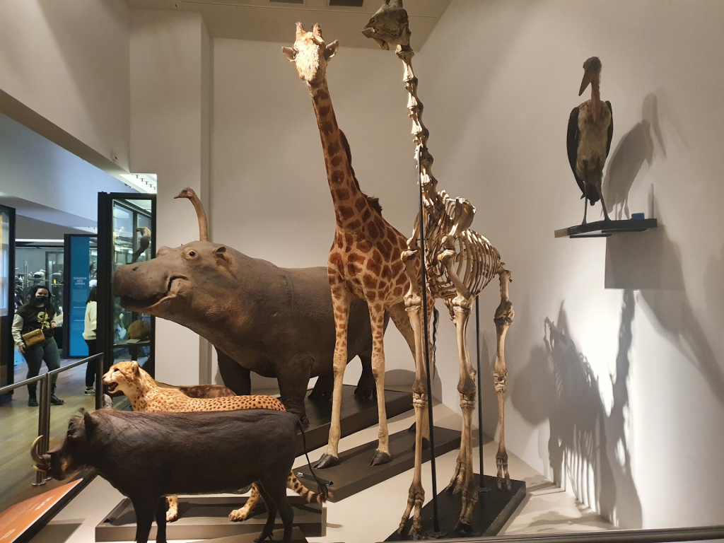 Museo-Acuario de Nancy