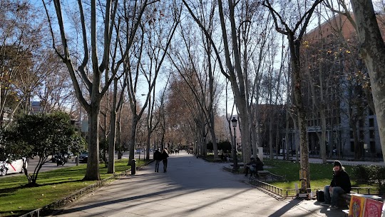 Camino del Prado
