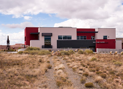 Instituto de Artes Indígenas Americanas