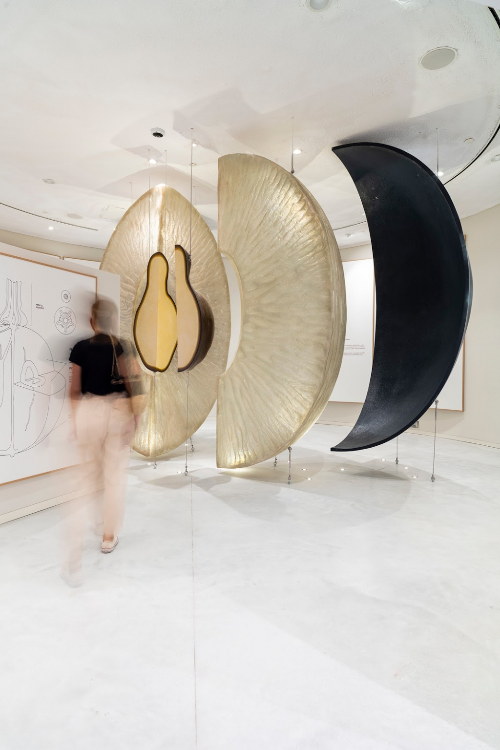 Museo de la Experiencia del Vino