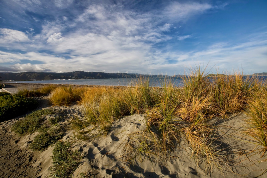 Museo de los Colonos de Petone