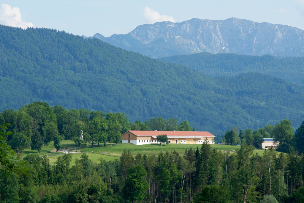 Fundación Arte y Naturaleza gGmbH