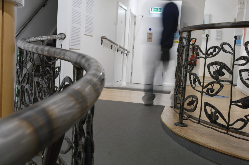 Museo y Galería de Arte de Hove