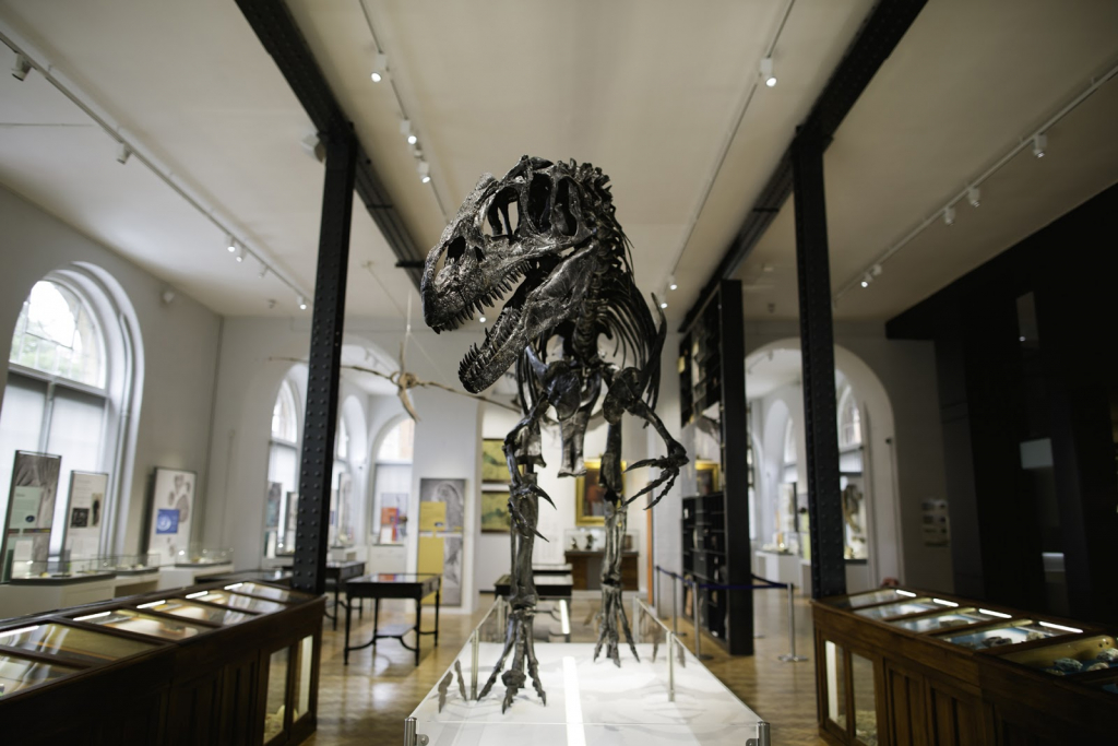 Museo Lapworth de Geología