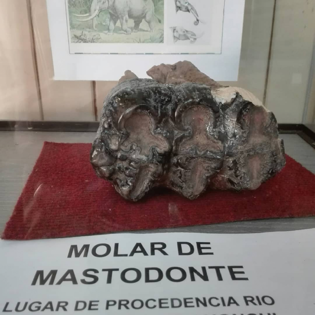 Museo Municipal de Castro