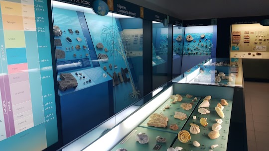 Museu Balear de Ciències Naturals