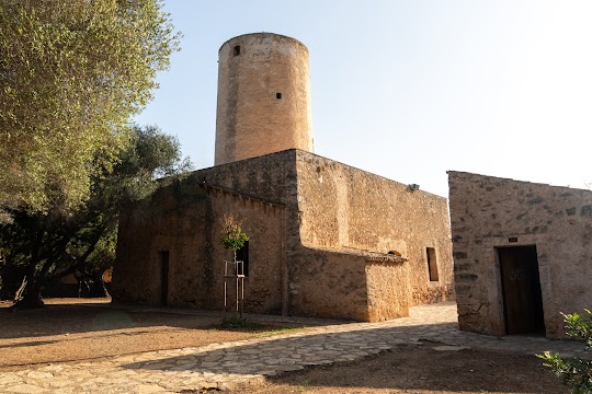 Museu Del Fang De Marratxí