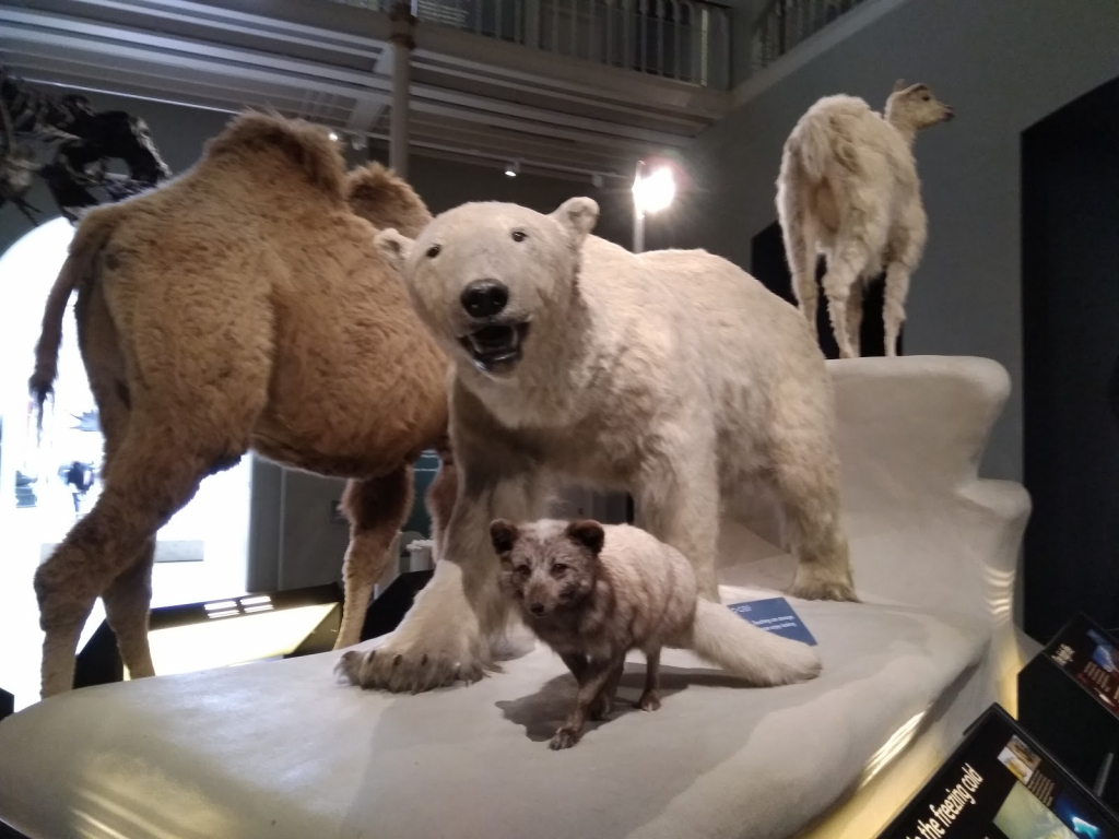 Centro de Colecciones de los Museos Nacionales