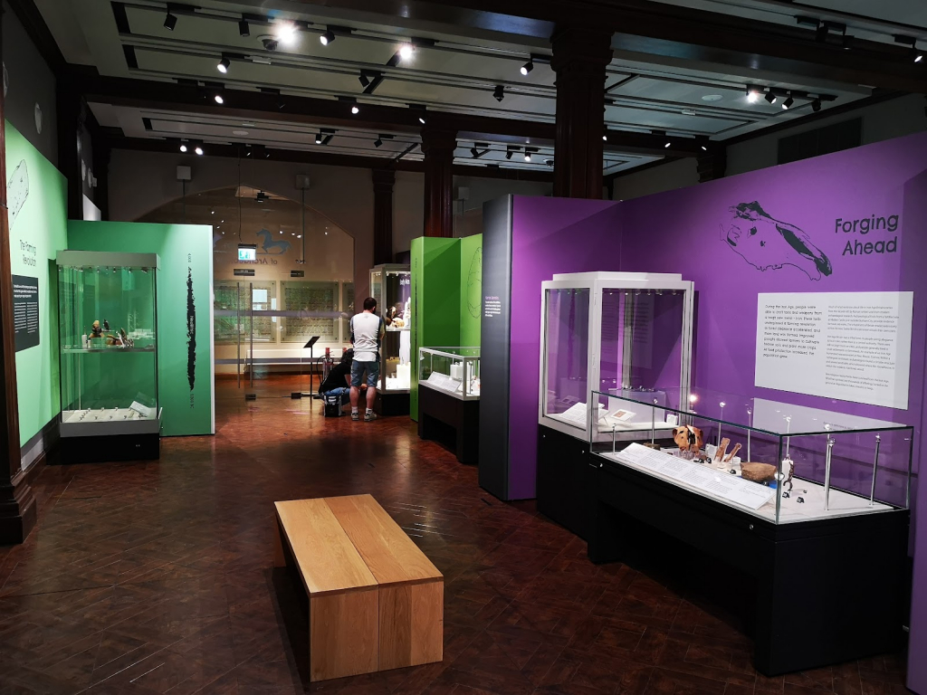 Museo de Arqueología • Universidad de Durham