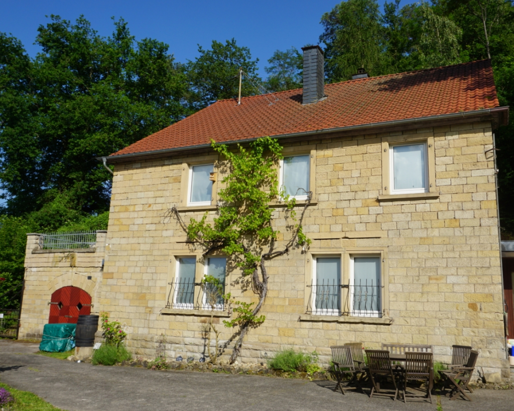 Cerca de la Naturaleza - Museo Participativo para la Conservación de la Naturaleza