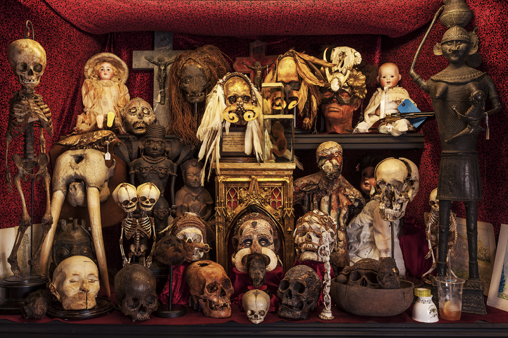 El Museo de Curiosidades, Bellas Artes e Historia No Natural Viktor Wynd