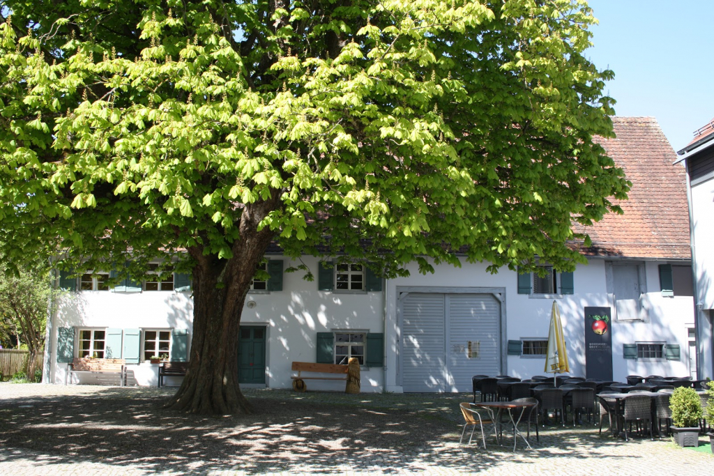 Museo de la Fruta del Lago de Constanza